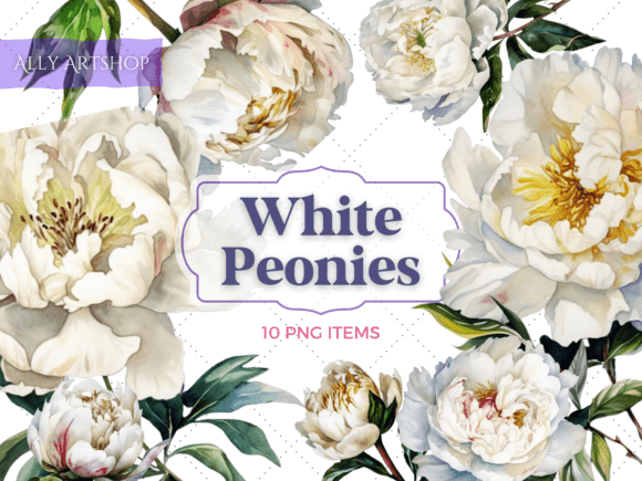 Download White Peonies Vintage Watercolor Clipart - Premium Resources