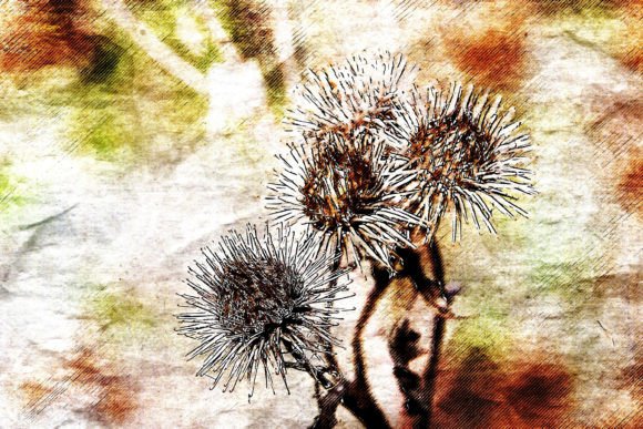 Download Printable Flower Graphics Pack# 03 - Printable Collection