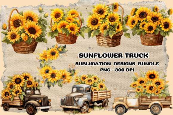 Download Sunflower Vintage Watercolor Clipart - Premium Resources