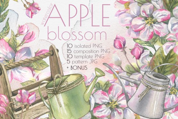 Download Apple Blossom Clip Art Watercolor - Clip art watercolor Collection